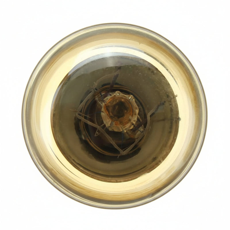 Load image into Gallery viewer, HIGH TEMPERATURE 300 E14 25W MICROWAVE OVEN COOKER LED LIGHT BULB