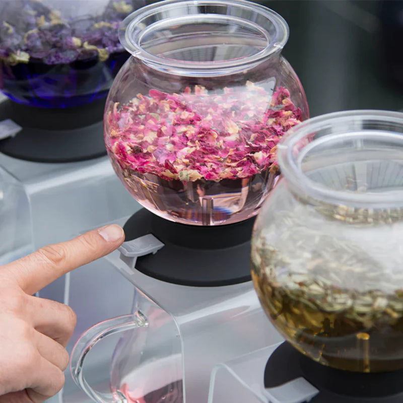 Load image into Gallery viewer, Hario Tea Dripper LARGO set