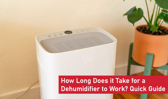 How Long Does it Take for a Dehumidifier to Work? Quick Guide