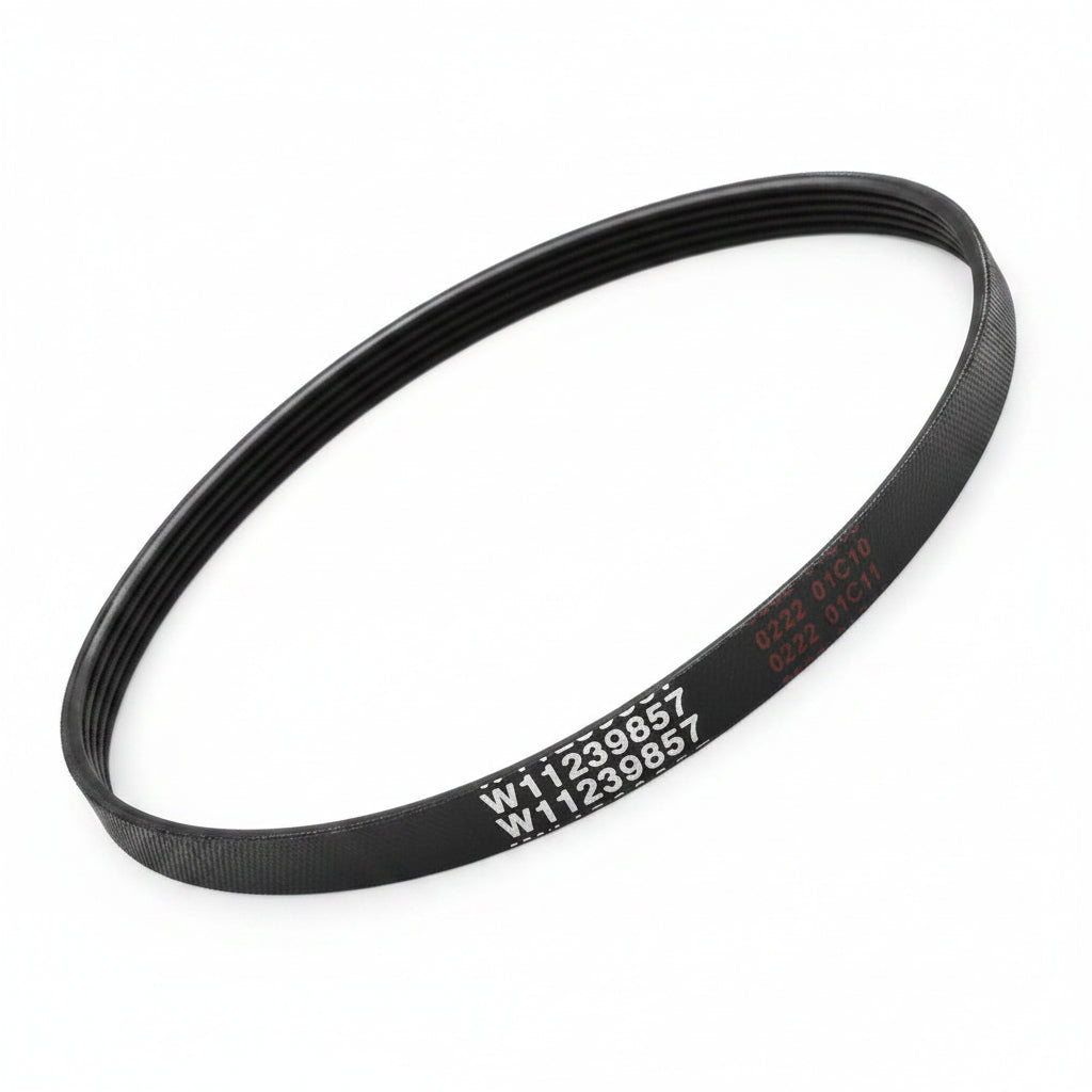 Washer Drive Belt, Compatible with Whirlpool Maytag Top Load Clothes Washing Machine