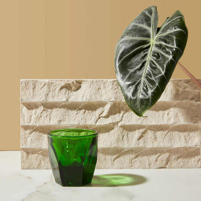 Load image into Gallery viewer, NotNeutral Vero Cortado Glass – Set of 2 pcs
