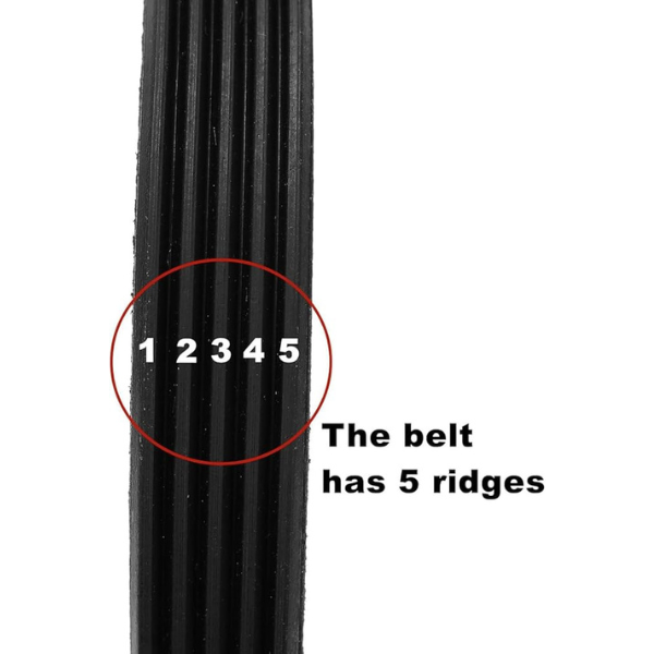 Load image into Gallery viewer, Washing Machine Parts Belt 5PJE 1281
