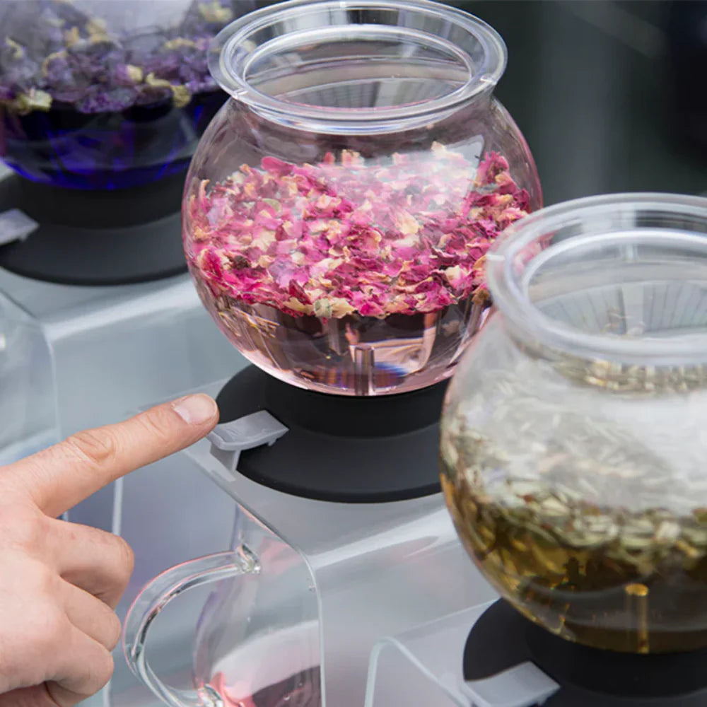 Hario Tea Dripper LARGO set
