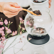 Hario Tea Dripper LARGO set