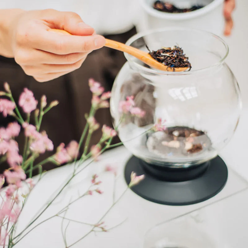 Load image into Gallery viewer, Hario Tea Dripper LARGO set
