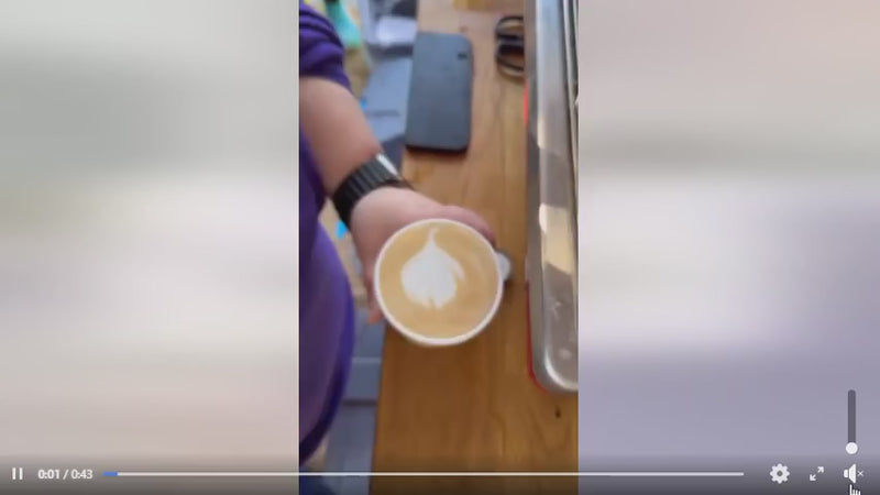 Load and play video in Gallery viewer, Brewista Nasty Jug by Irvine Quek – 600ml Latte Art Milk Pitcher
