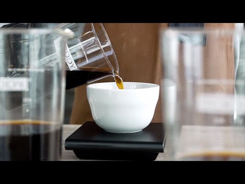Load and play video in Gallery viewer, Toddy Cold Brew Cupping Kit Tree Free Filter - Pack of 50
